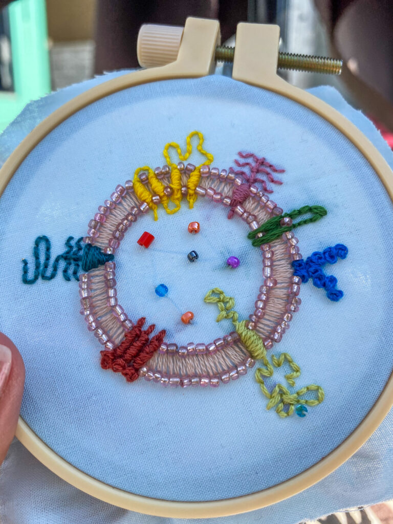 Embroidered extracellular vesicle